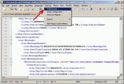 ValidaceCSUIS 01.gif