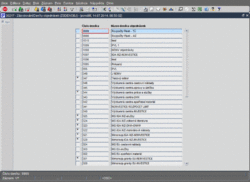 R 30217a.gif